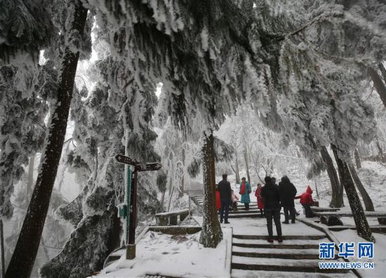 #(环境)(1)张家界迎降雪 景区银装素裹