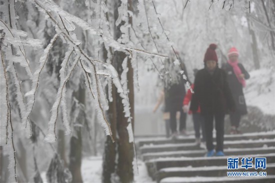 #(环境)(4)张家界迎降雪 景区银装素裹