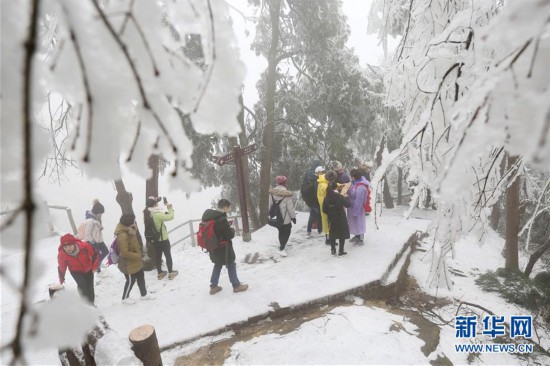 #(环境)(2)张家界迎降雪 景区银装素裹