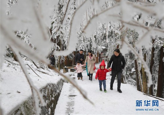 #(环境)(3)张家界迎降雪 景区银装素裹