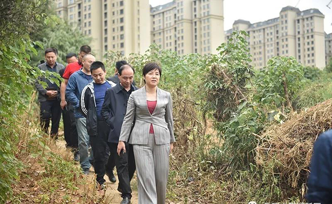 雷欣调研我区重点项目建设