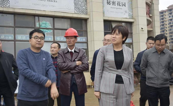 雷欣调研我区城建项目建设进展