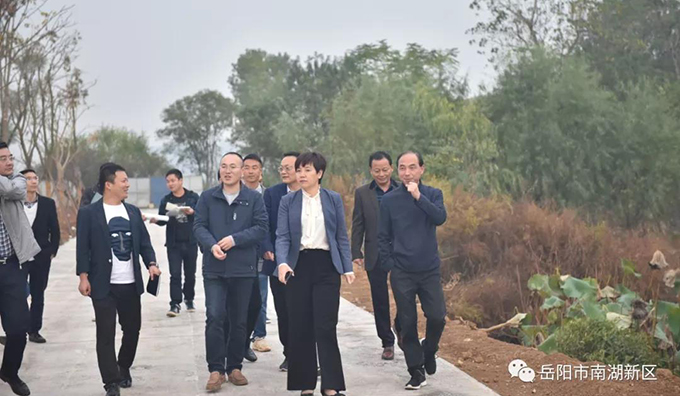 雷欣率队调研重点项目建设