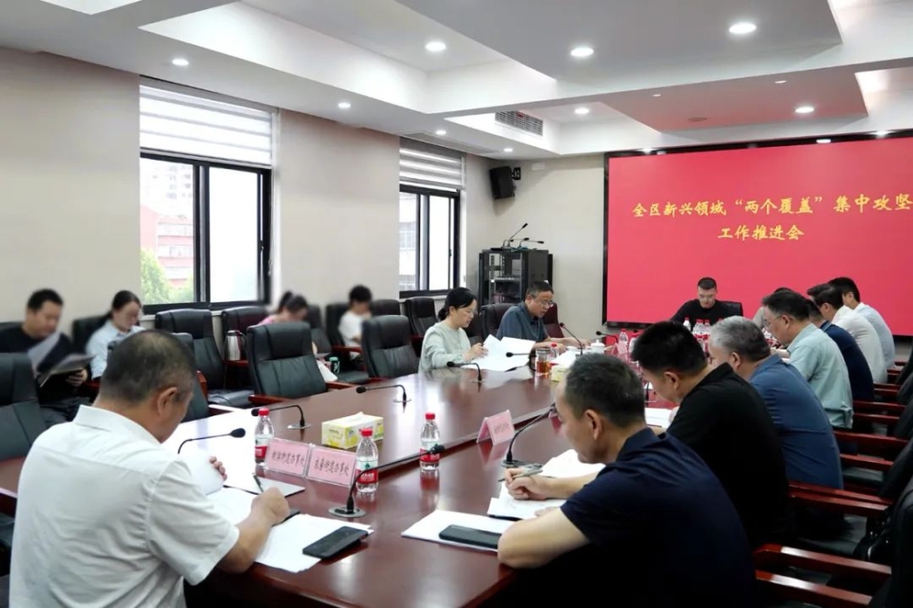 南湖新区召开新兴领域“两个覆盖”集中攻坚工作推进会