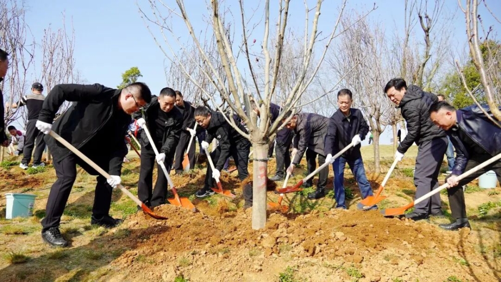 �Ϻ�������չ����ֲ���