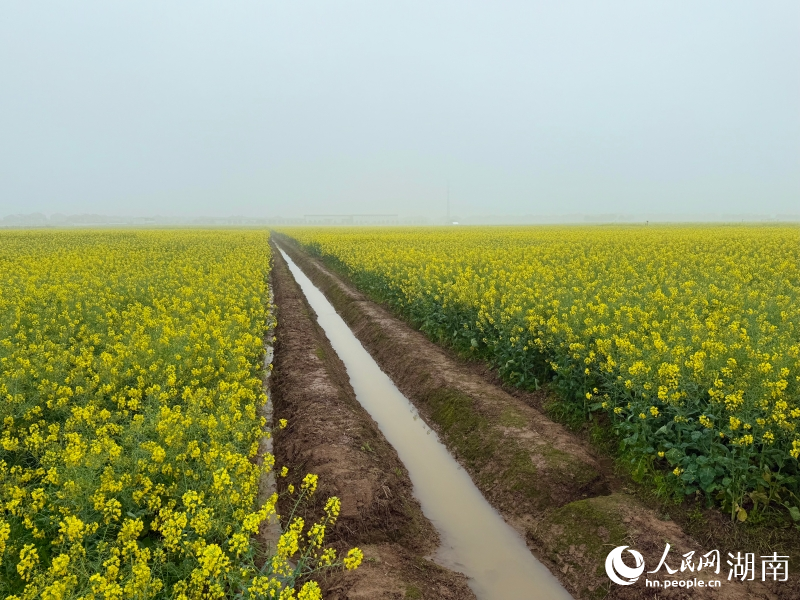 �����������Ͳ˴������������ʾ���������������� ������